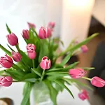 Dinkelbach Traumblick 3 A Apartment Wasserburg am Bodensee